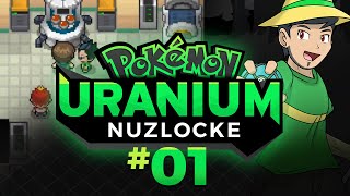 How to download and install Pokemon Uranium How to Play Pokemon Uranium on PC [upl. by Naie104]