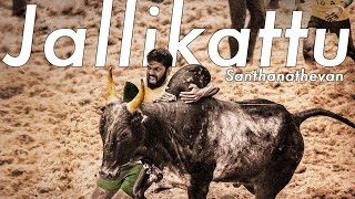 Jallikattu  Malayalam Movie [upl. by Winchester]