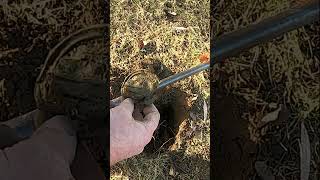 Metal Detecting Lantern Part 1800 Silver Coins Relics Toys Farm Western NY metaldetecting shorts [upl. by Secor26]