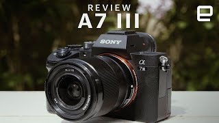 Sony A7 III Review [upl. by Samella740]