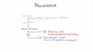 Polio  Clinical Presentations [upl. by Llezo666]