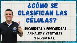 COMO SE CLASIFICAN LAS CÉLULAS EUCARIOTAS Y PROCARIOTAS ANIMALES Y VEGETALES ARQUEOBACT GRAM [upl. by Hyams55]