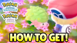 How to Get SHAYMIN in Pokemon Brilliant Diamond Pokemon Shining Pearl [upl. by Binny]