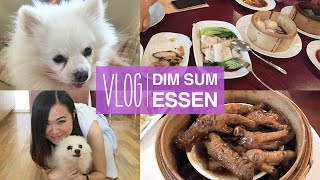 VLOG Lecker Dim Sum und Hühnerfüße essen [upl. by Saloma]