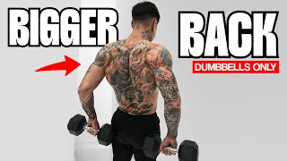 10 Min Complete Back Workout Dumbbells ONLY Follow Along [upl. by Pevzner305]