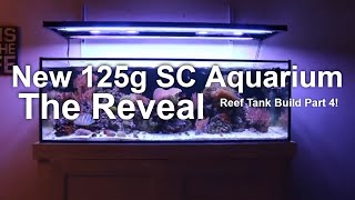 NEW 125g SC Reef Aquarium Reveal Reef Tank Build Part 4 [upl. by Trebmer]