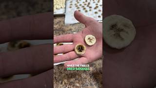 Freeze Drying VS Dehydrating Bananas [upl. by Ablasor530]