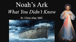 Noahs Ark What You Didnt Know  Explaining the Faith [upl. by Mcmahon553]