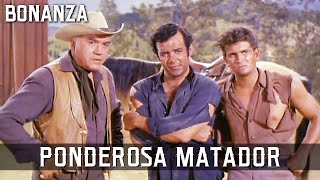 Bonanza  Ponderosa Matador  Episode 149  AMERICAN SERIES  Cowboys  Wild West  English [upl. by Chipman]