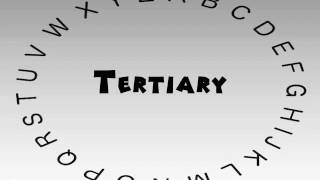 How to Say or Pronounce Tertiary [upl. by Ferri6]