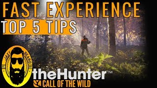 Top 5 Tips How to earn FAST EXPERIENCE in theHunter Call of the wild Fastest way to Level [upl. by Lettig]