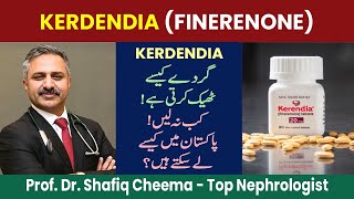 Kerendia or Finerenone Uses  Side Effects and role in Diabetic Kidney Disease or CKD [upl. by Nosemaj]