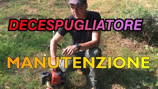 DECESPUGLIATORE MANUTENZIONE [upl. by Yanffit]