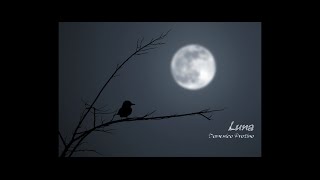 LUNA  Domenico Protino  testo letra lyrics [upl. by Nadean]