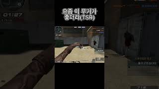 요즘 tsr 소음기 못 얻은거 후회 된다 서든어택 서든 서든어택클랜전 롱전 tsr 스나이퍼 [upl. by Tatianna]