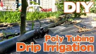 DIY Drip Irrigation  Highly Efficient Garden Irrigation System  Garden Irrigation [upl. by Edmondo]