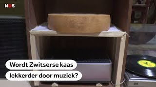 KAZEN Deze kaasmaker speelt muziek tijdens de rijping van zijn kazen [upl. by Graf99]