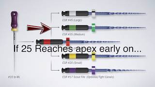 EndoSequence Reciprocating Files ESR Files Intro [upl. by Routh]