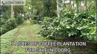 7 ACRES OF WELL MAINTAINED COFFEE PLANTATION FOR SALE IN COORG ₹25 LAKHSACRE SLIGHTLY NEGOTIABLE [upl. by Joscelin]