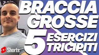 Braccia Grosse i 5 Migliori Esercizi per la Massa dei Tricipiti Shorts [upl. by Roberson]