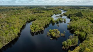 Environmental group opposes gold mine planned in Upper Peninsula [upl. by Gunas]