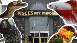 WORLDS LARGEST PET STORE TOUR PISCES PET EMPORIUM [upl. by Adelaida]