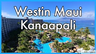 Westin Maui Resort and Spa Kaanapali [upl. by Latouche]