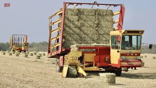 HARVESTING HAY BALES [upl. by Beilul918]