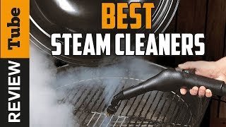 ✅Steam Cleaner Best Steam Cleaners Buying Guide [upl. by Amari]