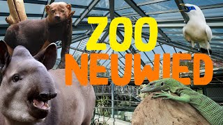 Zoo Neuwied  ZooEindruck [upl. by Eelsel]