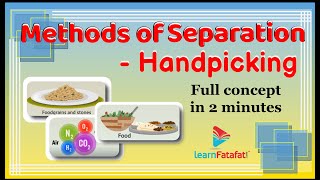 Class 6 Science Separation of Substances  Handpicking  Methods of Separation  LearnFatafat [upl. by Blossom]