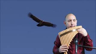 El Condor Pasa Pan Flute Cover [upl. by Adihsar210]