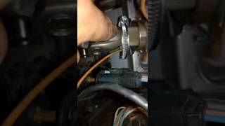 citron berlingo horn not working when ignition on or driving how to fix [upl. by Alper]