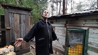 hermit lives in a forest cabin for 9 years alone no electricity no bills [upl. by Kyte216]