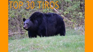 TOP 30 ABATES DE CAÇADORES DE URSO  CENAS ABSURDAMENTE FORTES😱 [upl. by Karyn569]