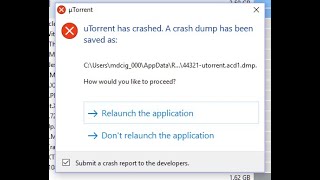 Solvedutorrent has crashed a crash dump has been saved [upl. by Ihab]