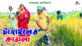 টাঙ্গাইলের কামলা  তারছেরা ভাদাইমা । Tangailer Kamla । Tarchera Vadaima  Bangla Koutuk 2024 [upl. by Irehc]