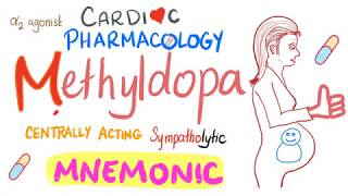 Cardiac Pharmacology 7  Methyldopa [upl. by Sada102]