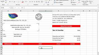 16 proforma fatura örneği [upl. by Elia]