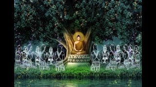 La vita di Buddha [upl. by Oryaj]