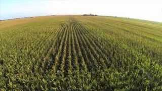 Drones Poised to Elevate Agricultural Efficiency [upl. by Annaierb]