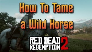 Red Dead Redemption 2  How To Tame a Wild Horse [upl. by Pandolfi]