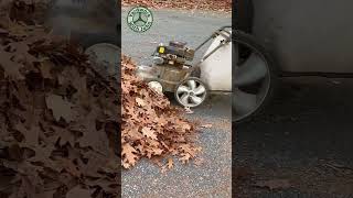 Vacuuming up leaves on the driveway [upl. by Sylvanus]