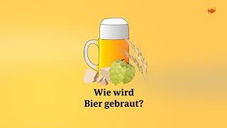 Kurz erklärt Wie wird Bier gebraut [upl. by Fredelia]