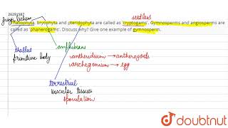 Thallophyta bryophyta and pteridophyta are called as \cryptogams\ Gymnosperms [upl. by Jeritah]