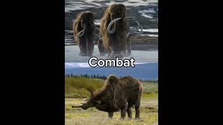 Woolly Mammoth vs Woolly Rhino woollymammoth woollyrhino [upl. by Cobby34]