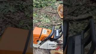 Husqvarna 2101XP amp STIHL MS440 Make Firewood [upl. by Raseta]