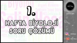 1 Hafta Biyoloji Soru Çözümü [upl. by Scevor]