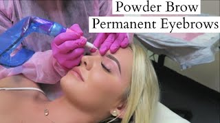 TATTOOED EYEBROWS quotPowder Browquot Experience Before amp After  ARTFUL BEAUTY [upl. by Cyler841]