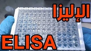 شرح نظري وعملي تقنية الإليزا ELISA Enzyme Linked Immunosorbent Assay [upl. by Ymmak]